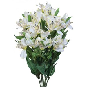 Alstroemeria Bush x12, 21" White | Pioneer Wholesale Single Variety Flower Bushes