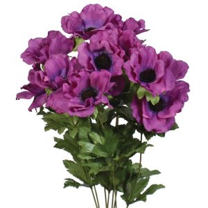 Anemone Bush x8, 18" Purple | Pioneer Wholesale Single Variety Flower Bushes