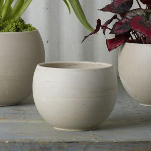 Astrid Ceramic Pot 4.75×3.5" Beige | Pioneer Wholesale Containers for Succulents