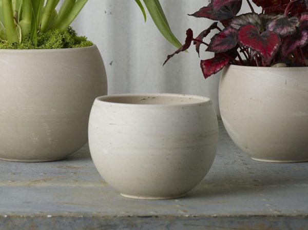 Astrid Ceramic Pot 4.75×3.5" Beige | Pioneer Wholesale Containers for Succulents