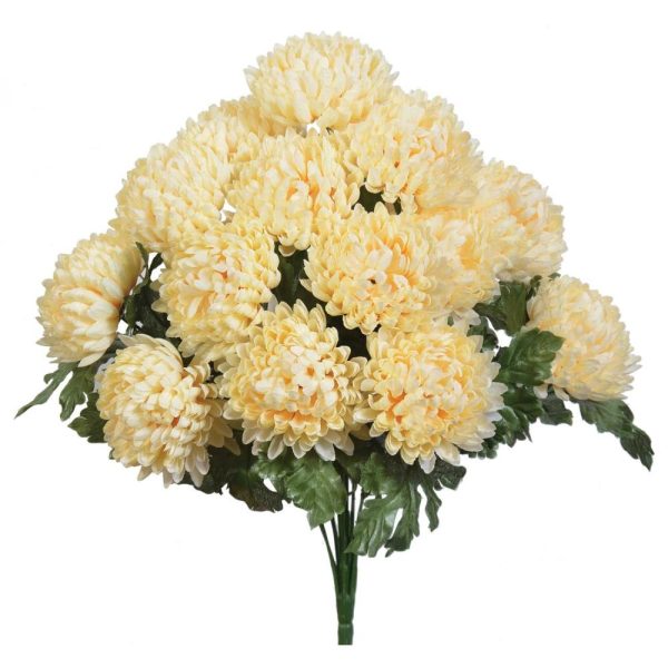 Ball Mum Bush x14, 20" Beige | Pioneer Wholesale Single Variety Flower Bushes