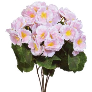 Begonia Bush x5, 15.5" Light Pink | Pioneer Wholesale Single Variety Flower Bushes