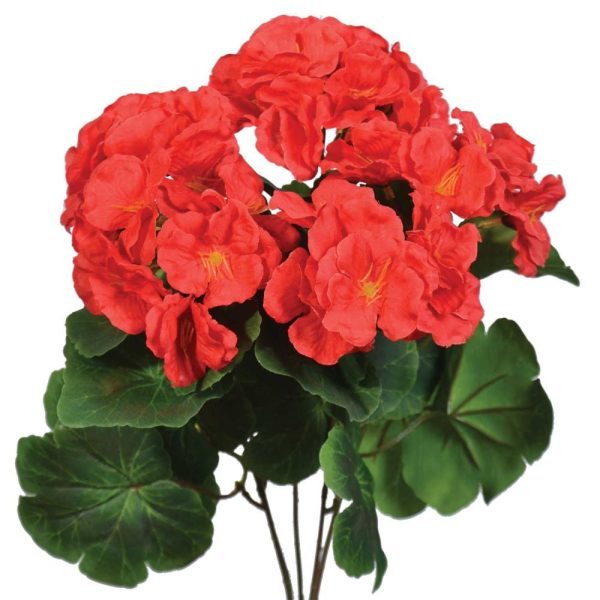 Begonia Bush x5, 15.5" Red | Pioneer Wholesale Single Variety Flower Bushes