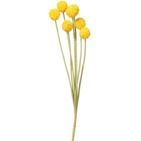 Billy Button Spray 24" Yellow | Pioneer Wholesale Other Stems