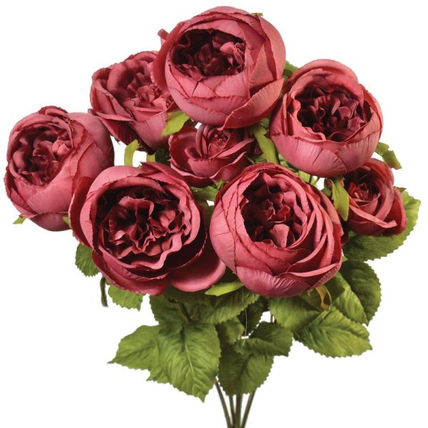 Cabbage Rose Bush x9, 19" Rosewood | Pioneer Wholesale Single Variety Flower Bushes