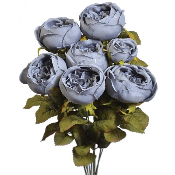 Cabbage Rose Bush x9, 19" Steel Gray | Pioneer Wholesale Single Variety Flower Bushes