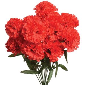 Carnation Bush x14, 18" Red | Pioneer Wholesale Monument Bushes