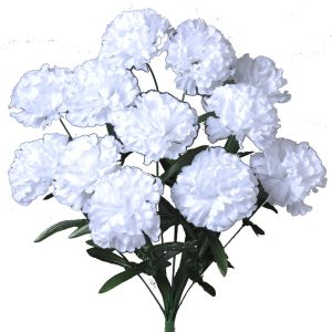 Carnation Bush x14, 18" White | Pioneer Wholesale Single Variety Flower Bushes