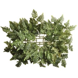 Casket Topper Leather Fern Base 33"x26" Green | Pioneer Wholesale Monument Greenery & Picks