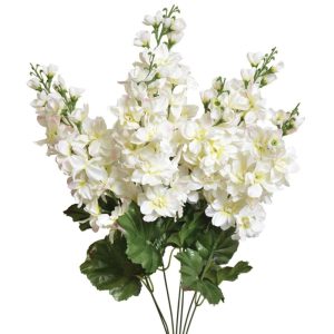 Colorfast Delphinium Bush x7, 25" Cream | Pioneer Wholesale Monument Bushes