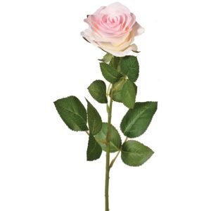 Colorfast Elegant Open Rose Stem 25" Blush | Pioneer Wholesale Rose Stems