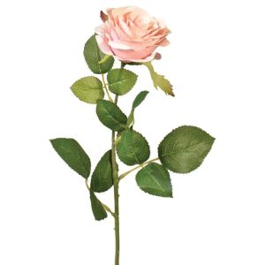 Colorfast Elegant Open Rose Stem 25" Mauve | Pioneer Wholesale Rose Stems