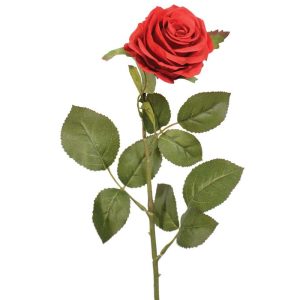 Colorfast Elegant Open Rose Stem 25" Red | Pioneer Wholesale Rose Stems