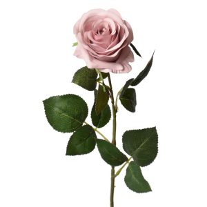 Colorfast Elegant Open Rose Stem 25" Rose | Pioneer Wholesale Rose Stems