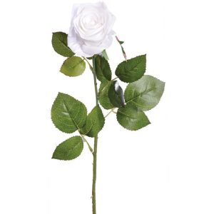 Colorfast Elegant Open Rose Stem 25" White | Pioneer Wholesale Colorfast Flowers