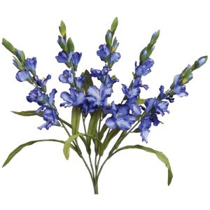 Colorfast Gladiolus Bush x5, 26" Blue | Pioneer Wholesale Colorfast Flowers