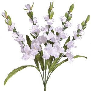 Colorfast Gladiolus Bush x5, 26" White | Pioneer Wholesale Spike Flower Bushes