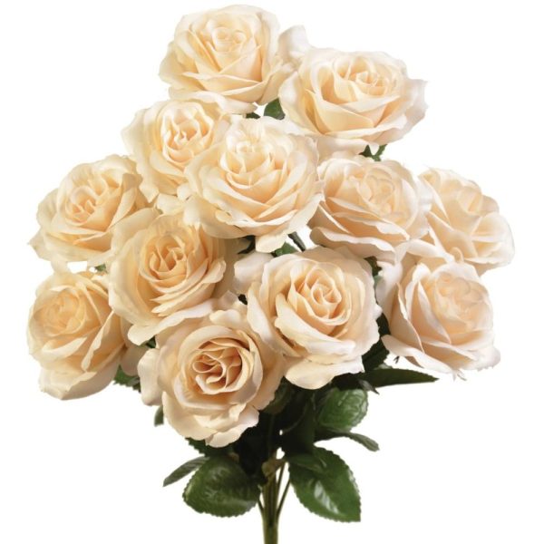 Colorfast "Kylie" Open Rose Bush x12, 17" Ivory | Pioneer Wholesale Colorfast Flowers