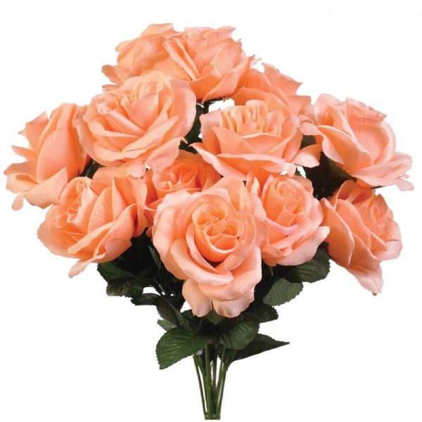 Colorfast "Kylie" Open Rose Bush x12, 17" Peach | Pioneer Wholesale Colorfast Flowers