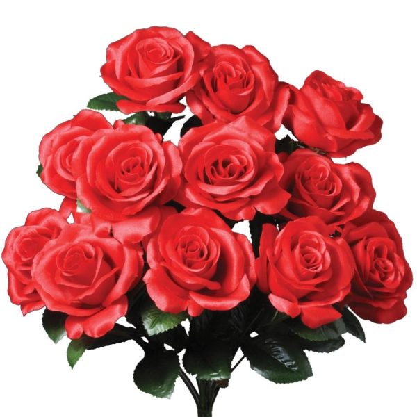 Colorfast "Kylie" Open Rose Bush x12, 17" Red | Pioneer Wholesale Colorfast Flowers