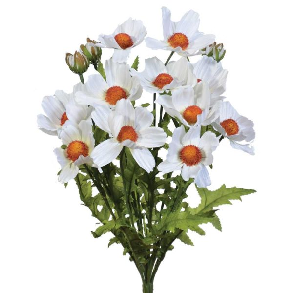 Cosmos Bush x14, 18" White | Pioneer Wholesale Single Variety Flower Bushes