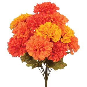 Dahlia Bush x12, 17" Orange/Yellow | Pioneer Wholesale Single Variety Flower Bushes