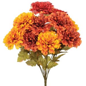 Dahlia Bush x12, 17" Red/Yellow/Rust | Pioneer Wholesale Single Variety Flower Bushes