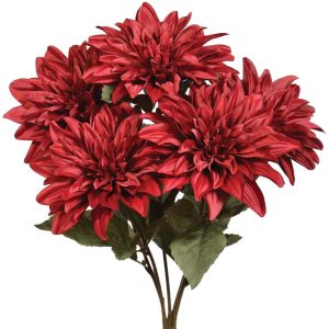 Dahlia Bush x5, 19" Burgundy | Pioneer Wholesale Single Variety Flower Bushes