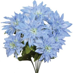 Dahlia Bush x7, 19" Blue/Green Mix | Pioneer Wholesale Single Variety Flower Bushes