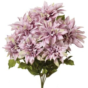 Dahlia Bush x7, 19" Lavender Whisper | Pioneer Wholesale Single Variety Flower Bushes