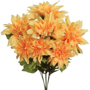 Dahlia Bush x7, 19" Mango | Pioneer Wholesale Single Variety Flower Bushes