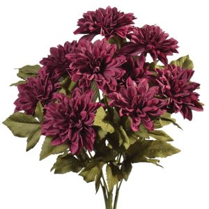 Dahlia Bush x9, 16" Regal Purple | Pioneer Wholesale Single Variety Flower Bushes