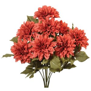 Dahlia Bush x9, 16" Spiced Cider | Pioneer Wholesale Single Variety Flower Bushes