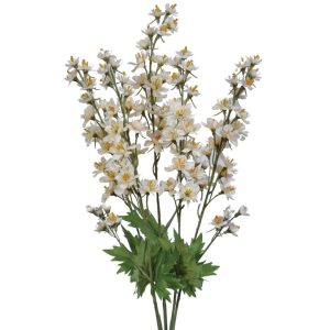 Delphinium Bush x5, 22.5" Cream | Pioneer Wholesale Spike Flower Bushes