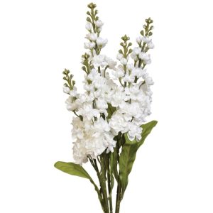 Delphinium Bush x5, 24" Chalk | Pioneer Wholesale Spike Flower Bushes