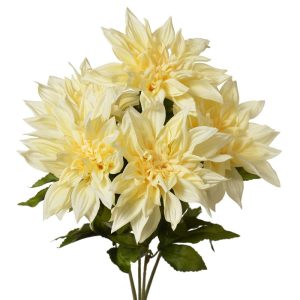 Dinner Plate Dahlia Bush x5, 20" Butter Yellow | Pioneer Wholesale Single Variety Flower Bushes