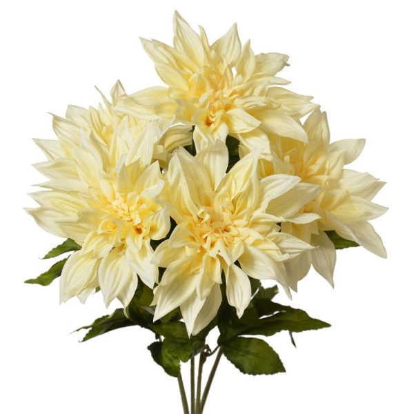 Dinner Plate Dahlia Bush x5, 20" Butter Yellow | Pioneer Wholesale Single Variety Flower Bushes