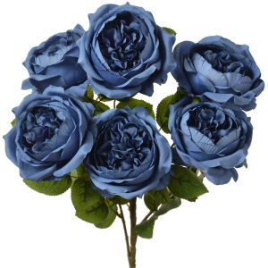 English Garden Rose Bush x6, 19" Blue | Pioneer Wholesale Single Variety Flower Bushes