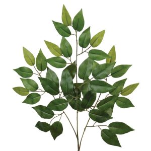 Ficus Spray 22" Green | Pioneer Wholesale Monument Greenery & Picks