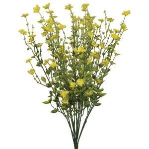 Forget-Me-Not Bush x11, 17.5" Yellow | Pioneer Wholesale Filler Bushes