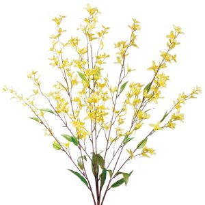 Forsythia Bush x9, 28" Yellow | Pioneer Wholesale Filler Bushes