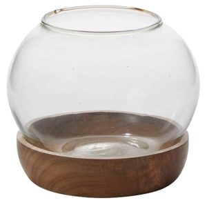 Full View Glass Terrarium 6.5×5.5" Clear | Pioneer Wholesale Unique Containers