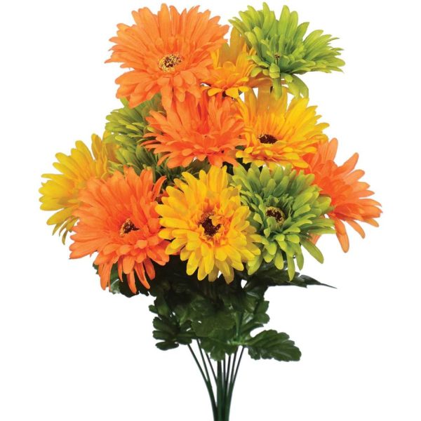 Gerbera Daisy Bush x12, 18" Citrus | Pioneer Wholesale Single Variety Flower Bushes