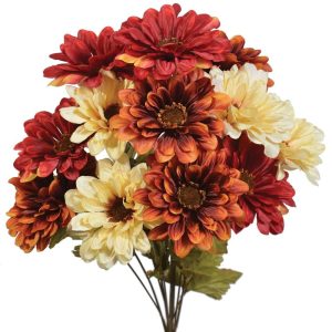 Gerbera Daisy Bush x12, 19" Red/Beige/Rust | Pioneer Wholesale Single Variety Flower Bushes