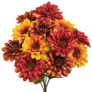 Gerbera Daisy Bush x12, 19" Yellow/Red/Rust | Pioneer Wholesale Single Variety Flower Bushes