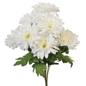 Gerbera Daisy Bush x7, 17" Chalk | Pioneer Wholesale Single Variety Flower Bushes