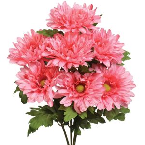 Gerbera Daisy Bush x7, 17" Strawberry Punch | Pioneer Wholesale Single Variety Flower Bushes