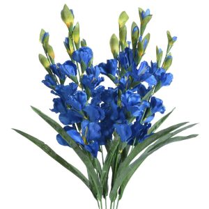 Gladiolus Bush x7, 27" Royal Blue | Pioneer Wholesale Spike Flower Bushes