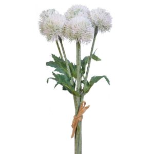 Globe Thistle Bundle x6, 15" Blush | Pioneer Wholesale Pre-mades