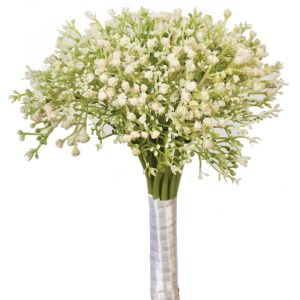 Gypsophila Bundle x18, 11.5" Cream | Pioneer Wholesale Other Stems